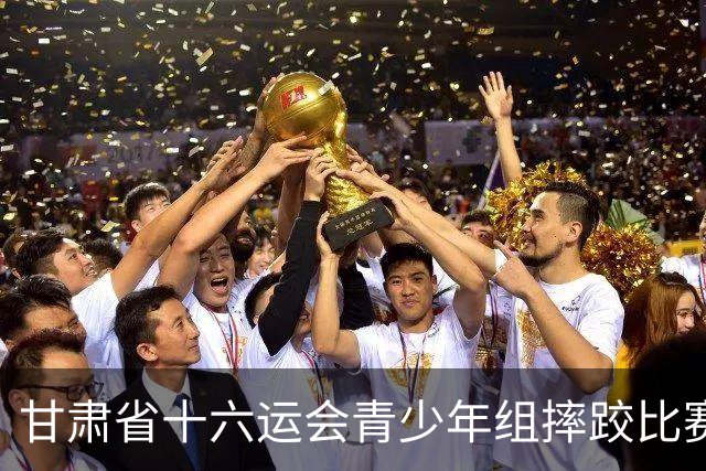 甘肃省十六运会青少年组摔跤比赛在定西开赛